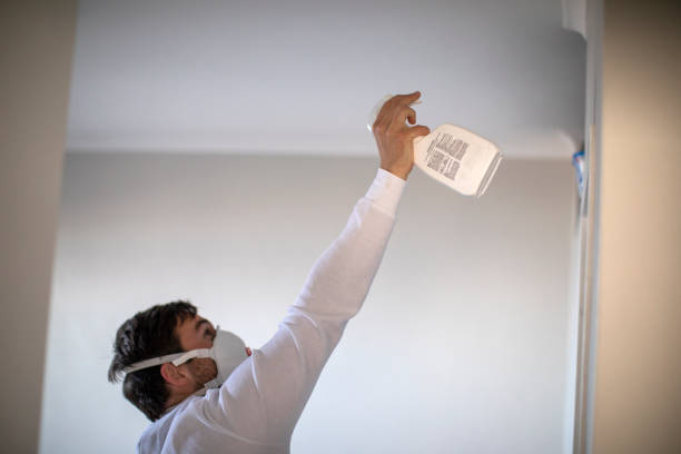 Best Home Mold Removal  in Crooked River Ranch, OR