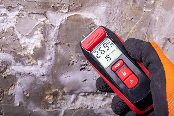 Best Mold Removal Company Near Me  in Crooked River Ranch, OR