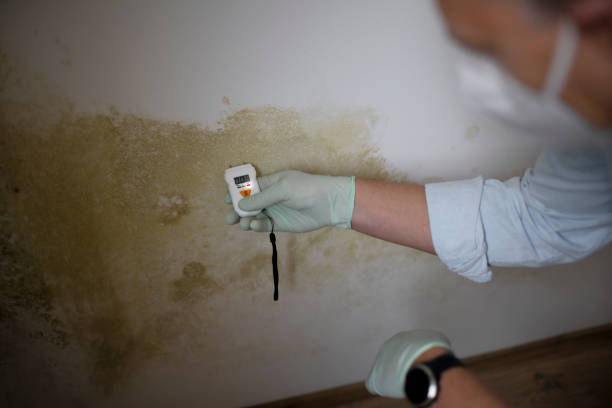 Certified Mold Removal in Crooked River Ranch, OR