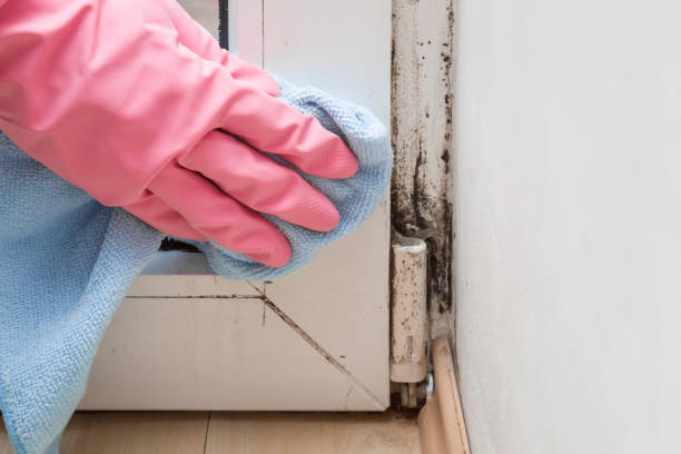 Best Mold Damage Repair  in Crooked River Ranch, OR