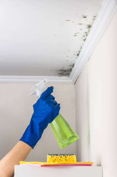 Best Commercial Mold Removal  in Crooked River Ranch, OR